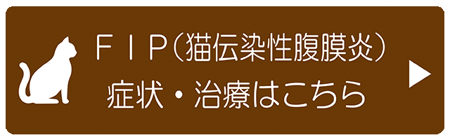 FIPはこちら