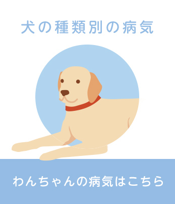 犬の種類別の病気
