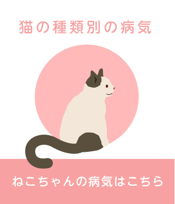 猫の種類別の病気