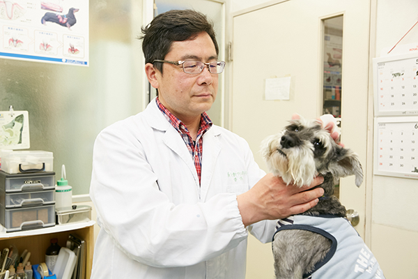 動物たちにこのような症状はございませんか