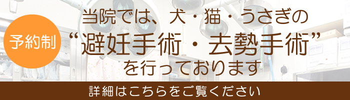 避妊手術・去勢手術