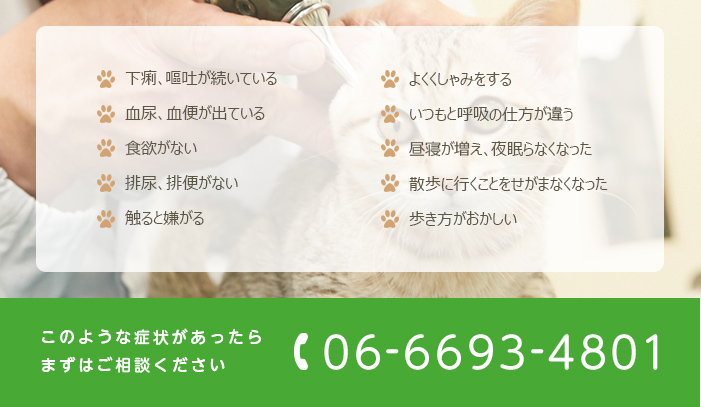 下痢、嘔吐が続いている 血尿、血便が出ている 食欲がない 排尿、排便がない 触ると嫌がる よくくしゃみをする いつもと呼吸の仕方が違う 昼寝が増え、夜眠らなくなった 散歩に行くことをせがまなくなった 歩き方がおかしい このような症状があったら まずはご相談くださいt tel:0666934801