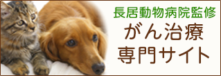 長居動物病院監修 がん治療専門サイト