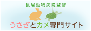 長居動物病院監修 うさぎとカメ専門サイト